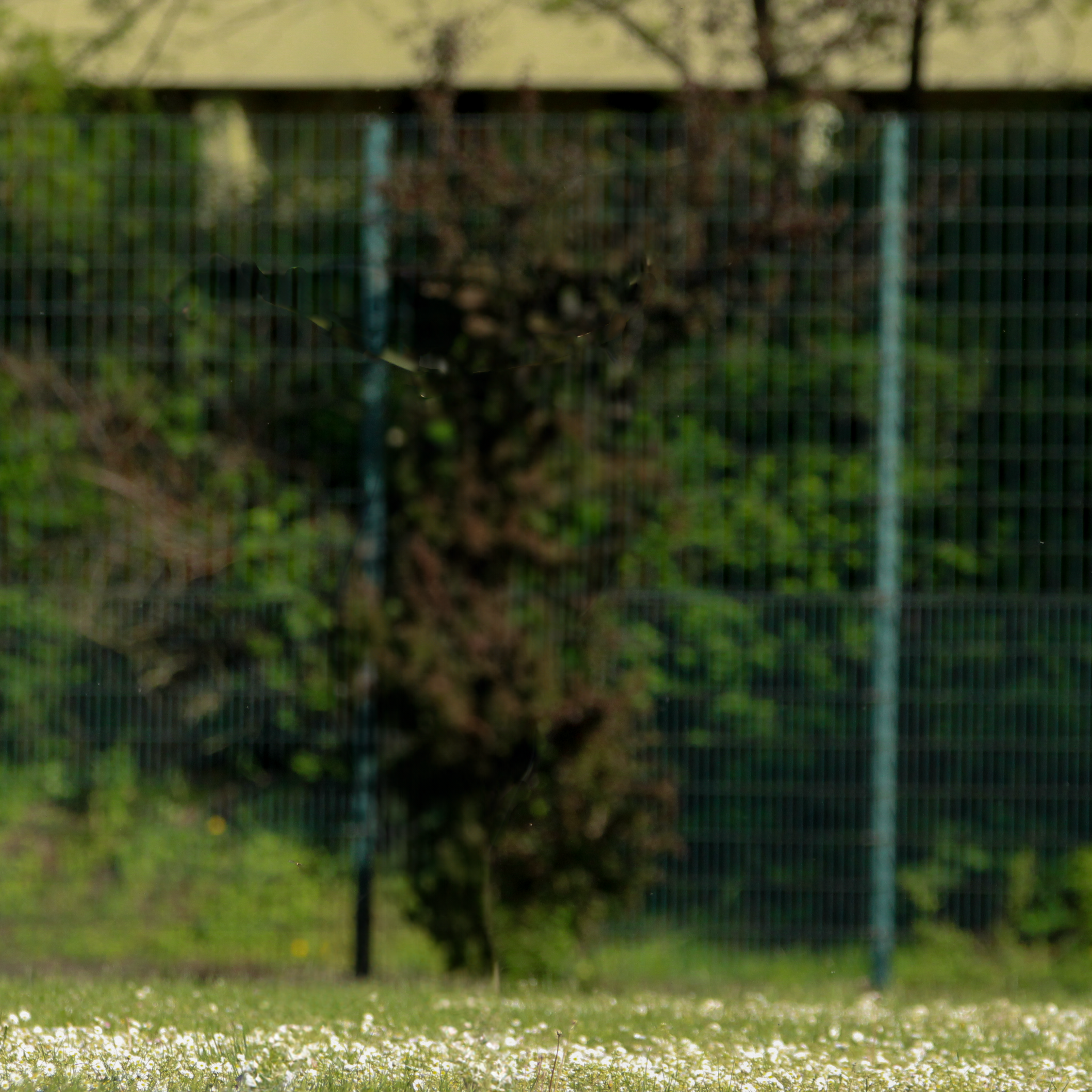 https://www.shooting-saars.de/wp-content/uploads/2023/08/player_info_eric_background.png
