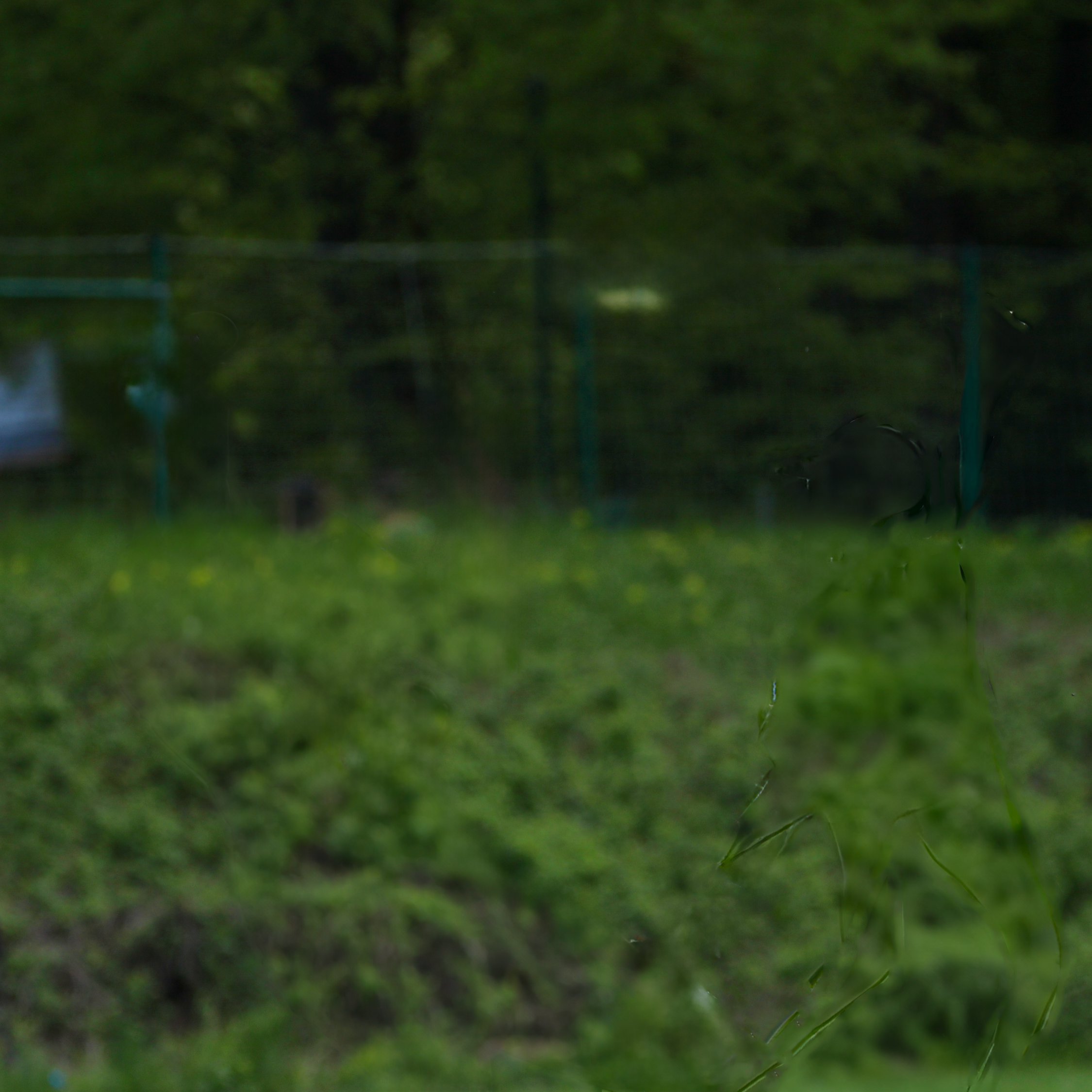 https://www.shooting-saars.de/wp-content/uploads/2023/08/player_info_johannes_background-2.png
