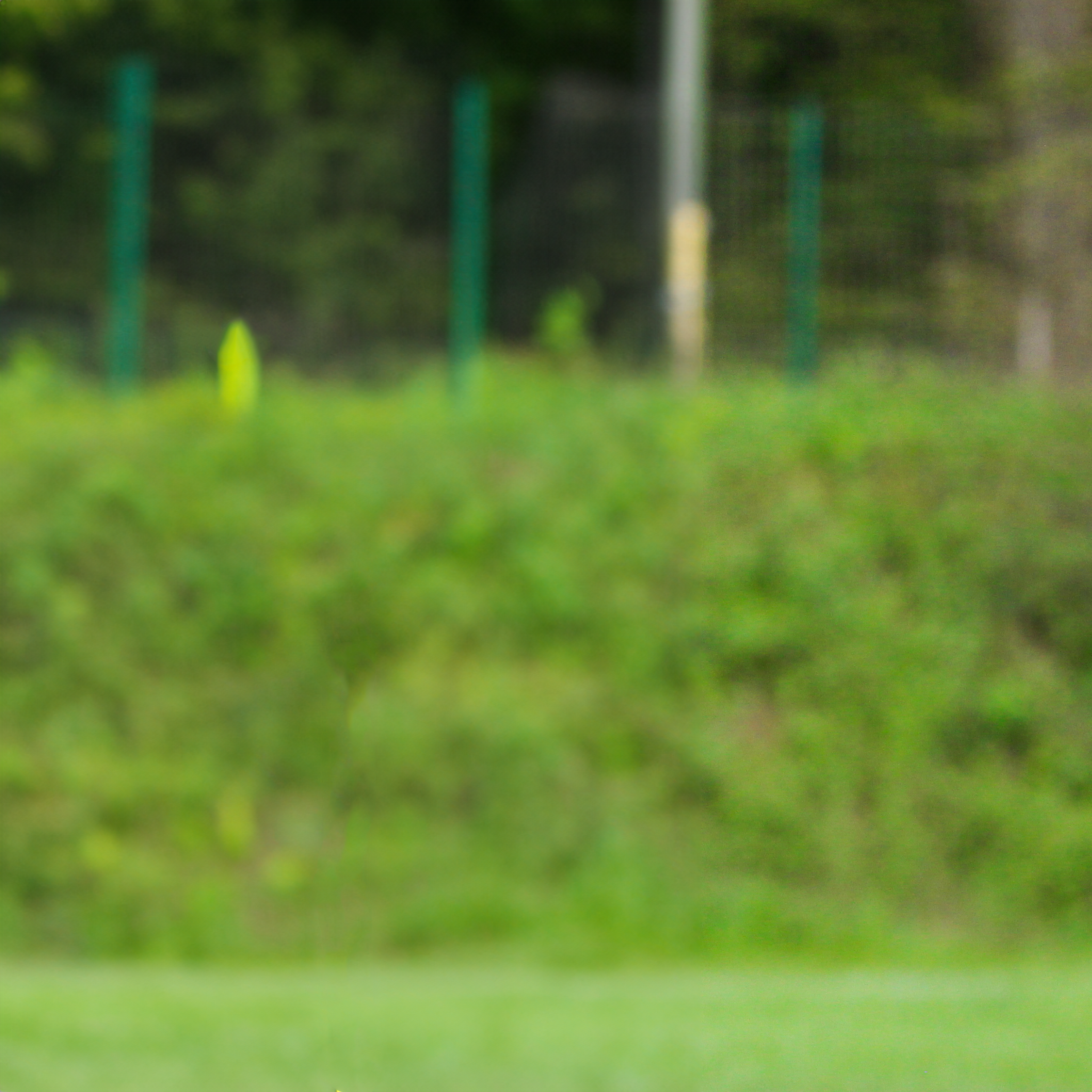https://www.shooting-saars.de/wp-content/uploads/2023/08/player_info_julian_background.png