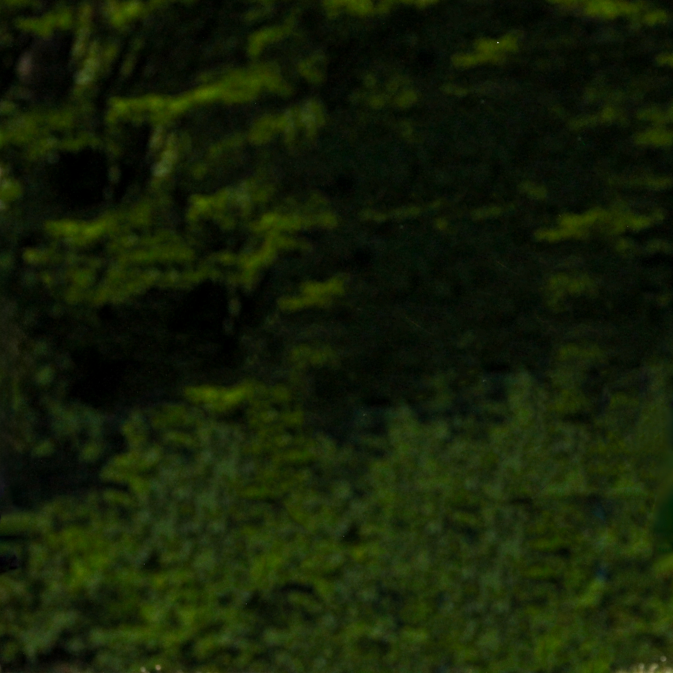 https://www.shooting-saars.de/wp-content/uploads/2023/08/player_info_kaiser_background.png