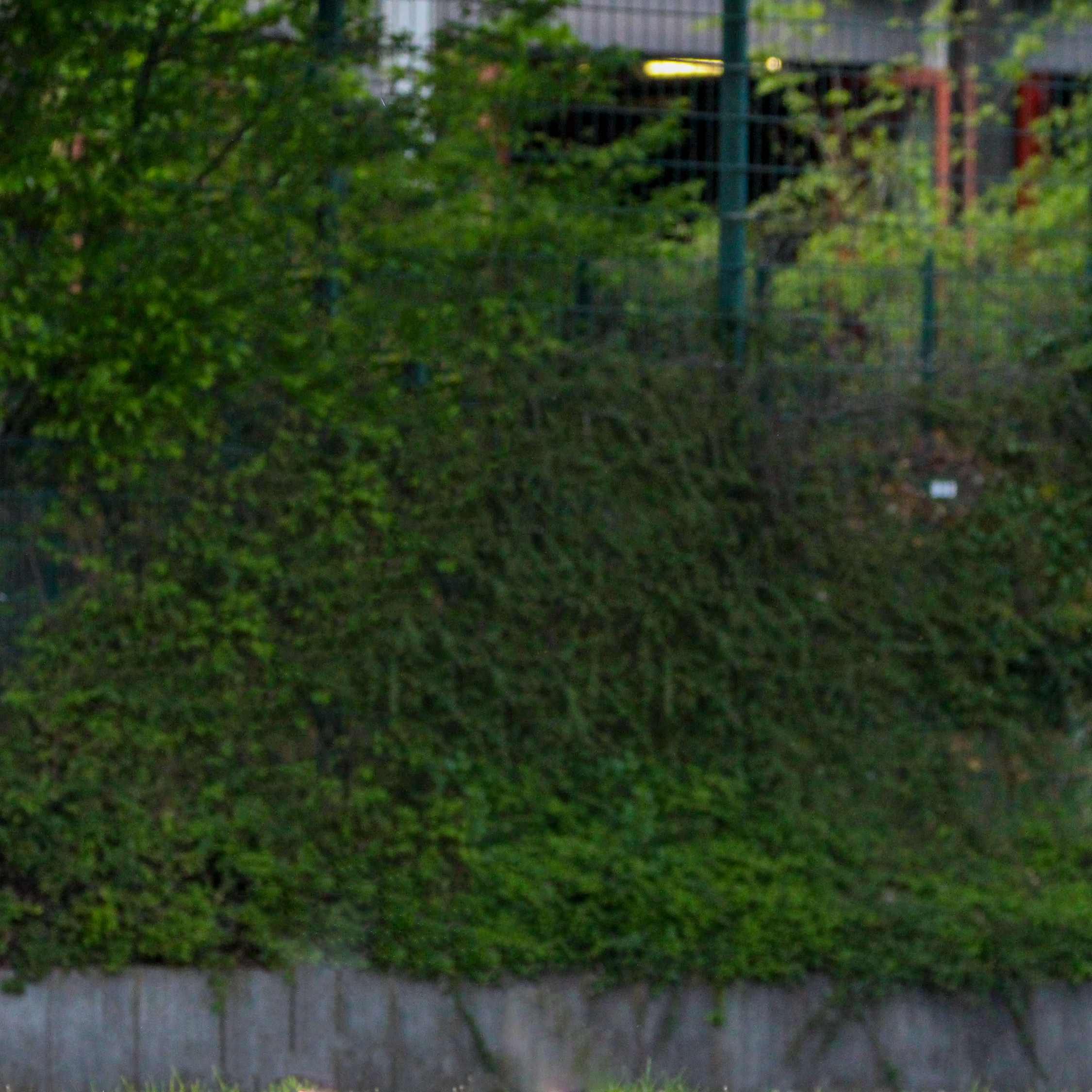 https://www.shooting-saars.de/wp-content/uploads/2023/08/player_info_marius_background.png